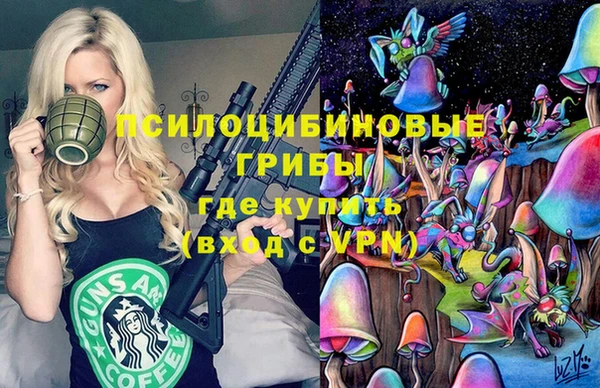 MDMA Premium VHQ Дмитриев