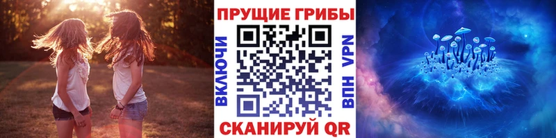 Купить где  Шлиссельбург  Галлюциногенные грибы мухоморы 