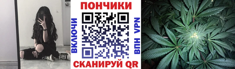 Бошки марихуана THC 21% Шлиссельбург